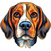 Beagle Hound Dog