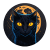 black cat halloween