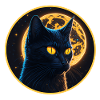 black cat halloween