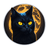 black cat halloween