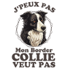 Chien mignon border collie