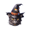 Halloween Cat