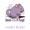 Chinchilla Owner Chinchilla Enthusiast