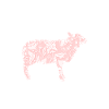 Landwirt Schäfer Bauernhof Schafe