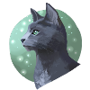 Needletail Needle Tail Warrior Cats Grey Cat