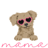 Chiweenie Dog