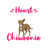 Chiweenie Dog
