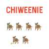 Chiweenie Dog