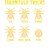 Tarantula breeder spider owner tarantula