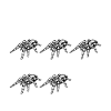 Tarentule éleveur araignée propriétaire tarentule