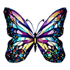 Butterfly Insect Animal Butterfly