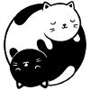 Chaton Yin et Yang