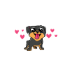 Rottweiler Gifts