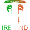 Irlande Irlande moutons