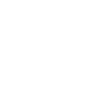 The Butterfly