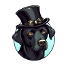 Labrador hat posh