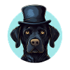 Labrador hat chic