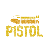 Weapon Pistol Gun Owner