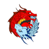 YIN YANG DRAGON