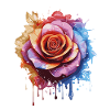 Rainbow Rose