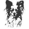 Papillion Dog Vector