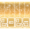 2029