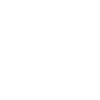 Vulkaniseur