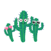 Cactus, cacti, glasses, sunglasses