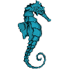 Hippocampus Pen illustration drawing