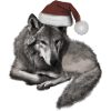 Christmas Wolf