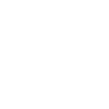 USA Eistanzen Amerika