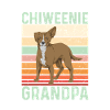 Chiweenie Dog
