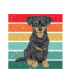 Chiweenie Dog