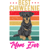 Chiweenie Dog