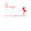 Snap Kick MMA Taekwondo