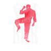 Side Kick Kickboxing Taekwondo