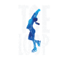 Toeloop Figure Skating