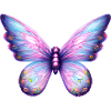 Butterfly Butterfly Insect Animal
