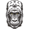 gorilla