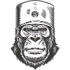 Gorilla