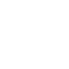 Aunt 2024