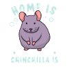 Chinchilla Owner Chinchilla Enthusiast