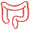 INTESTINAL ORGAN