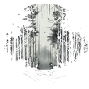 Mystischer Wald Bäume Natur