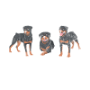 Rottweiler Gifts