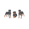 Rottweiler Gifts