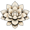 Lotus Blossom