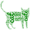 green kitten