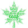 green leaf