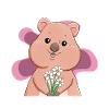 Quokka Therapie Beuteltier Kurzschwanzkänguru